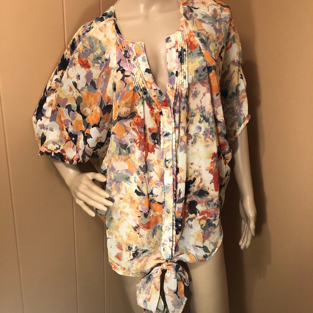 NWT Simply Styled Petal Pink Sheer Blouse